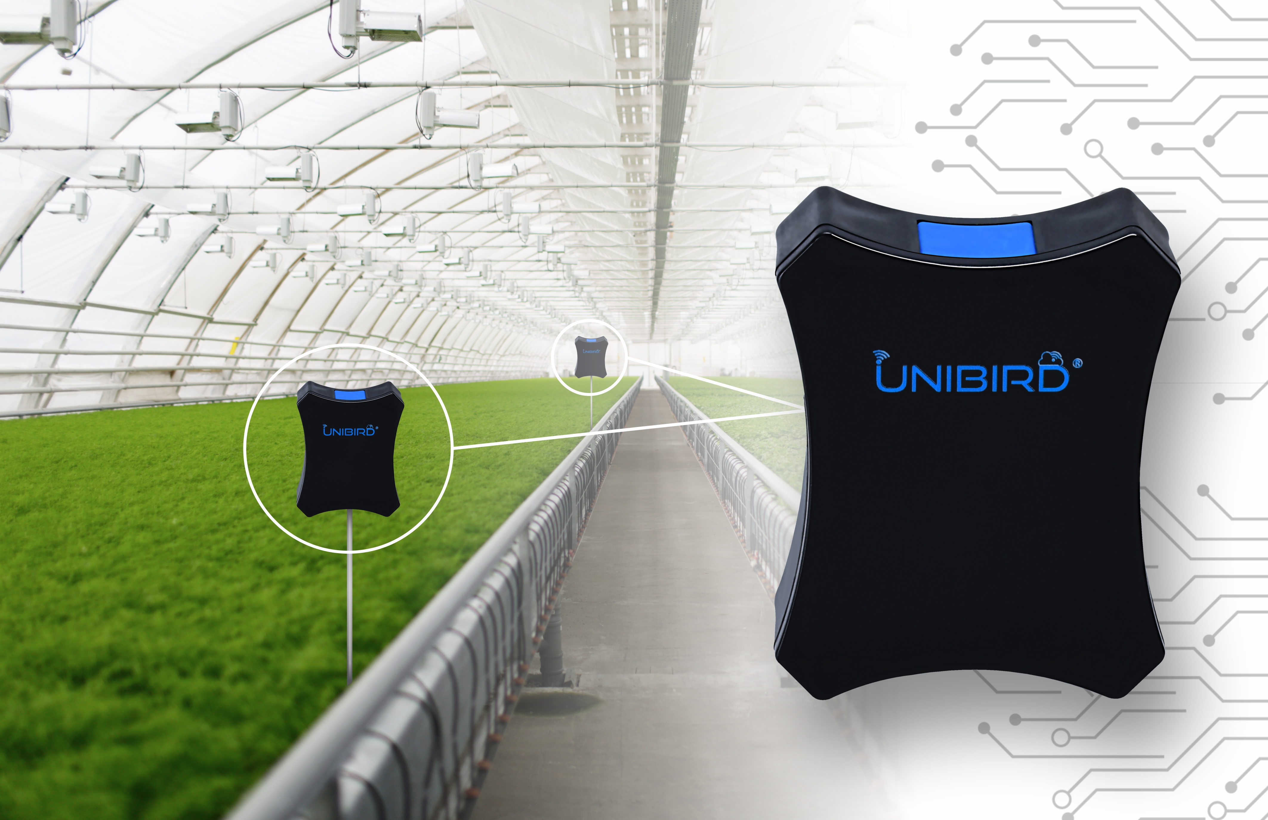 UniBIRD IoT platform for agriculture and environmental monitoring, enabling smart farming, real-time data collection, and sustainable solutions.